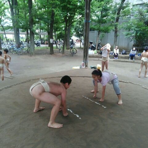 イメージ 5