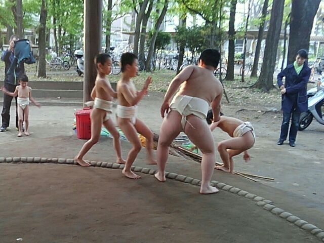 イメージ 7