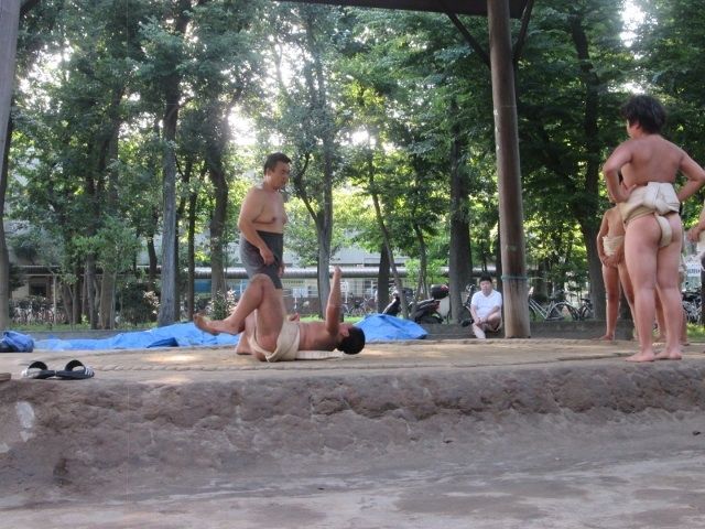 イメージ 7