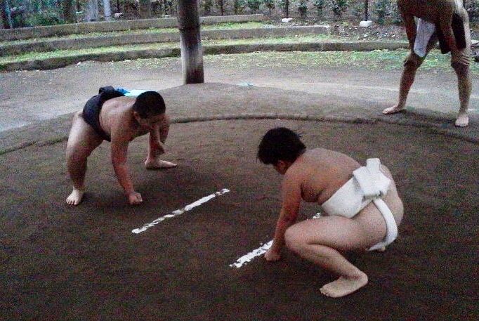 イメージ 6