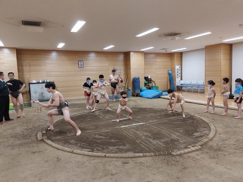 IMG00229