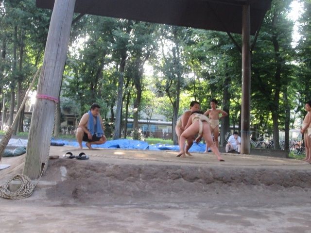 イメージ 5
