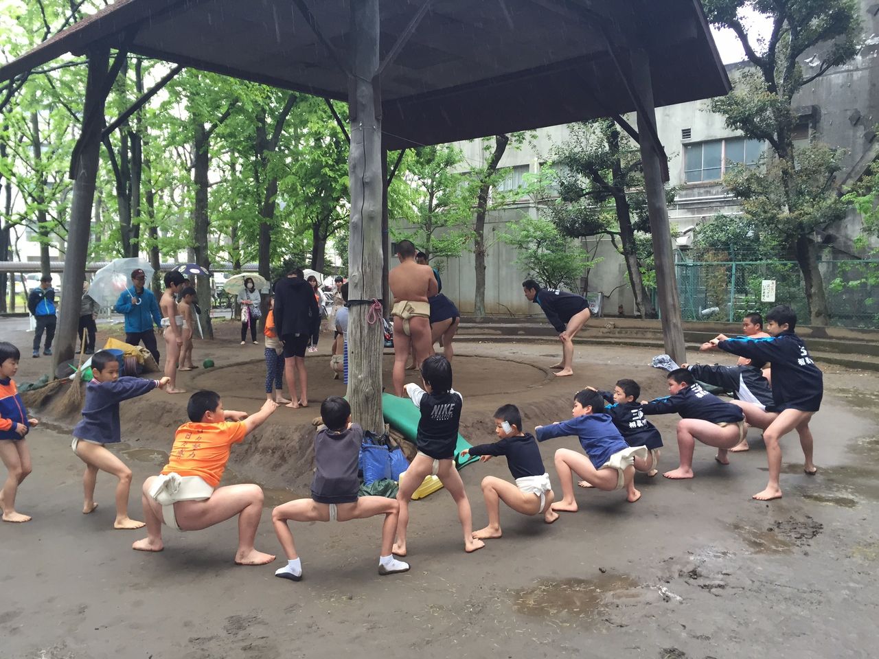イメージ 6