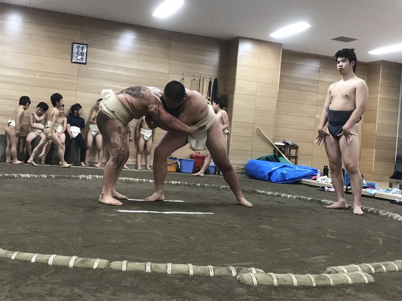イメージ 11