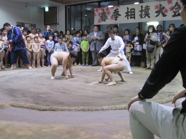 イメージ 6