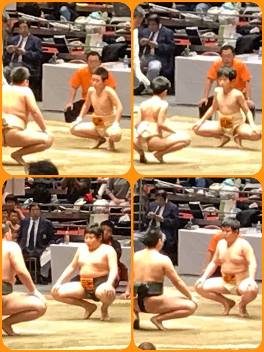 イメージ 7