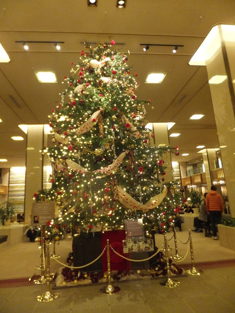 DSCF3694
