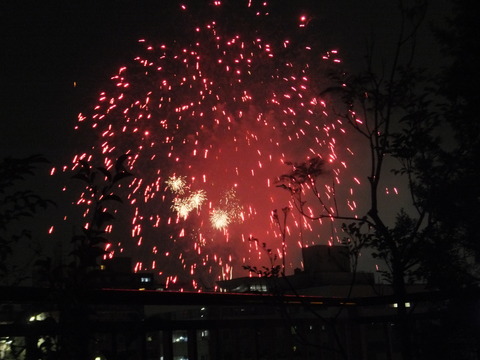 DSCF0918