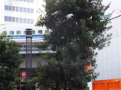DSCF2528