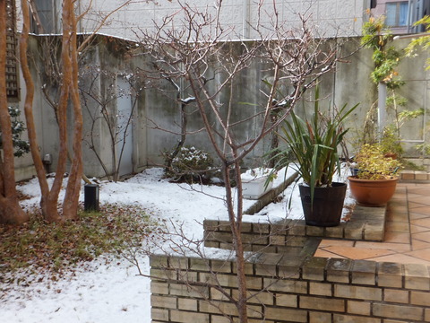 DSCF0306