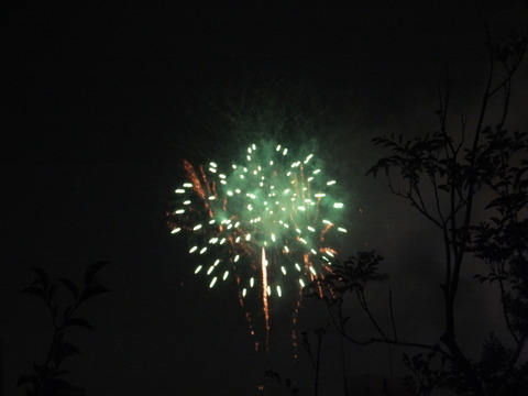 DSCF0914