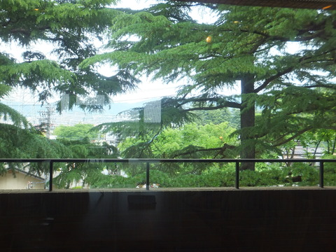 DSCF1957