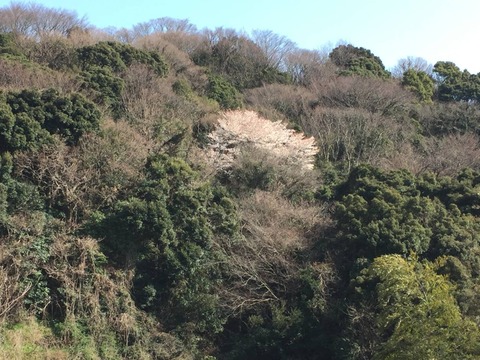 三田石材_概観_07