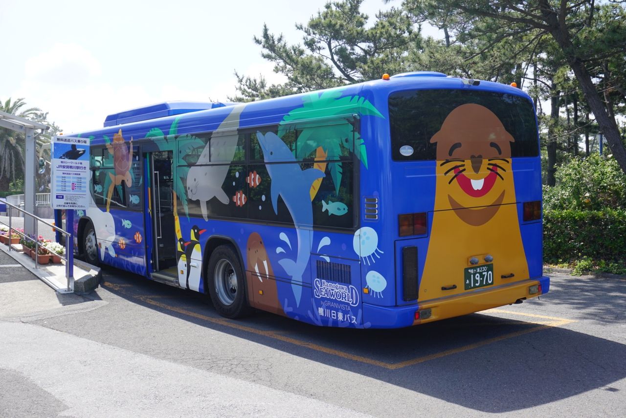 鴨川シーワールド ミタッチのblog 鴨川シーワールド ミタッチのblog