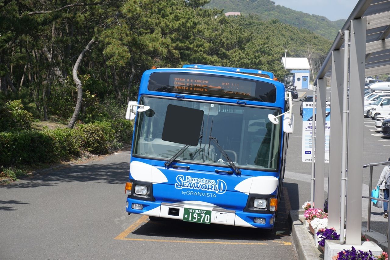 鴨川シーワールド ミタッチのblog 鴨川シーワールド ミタッチのblog