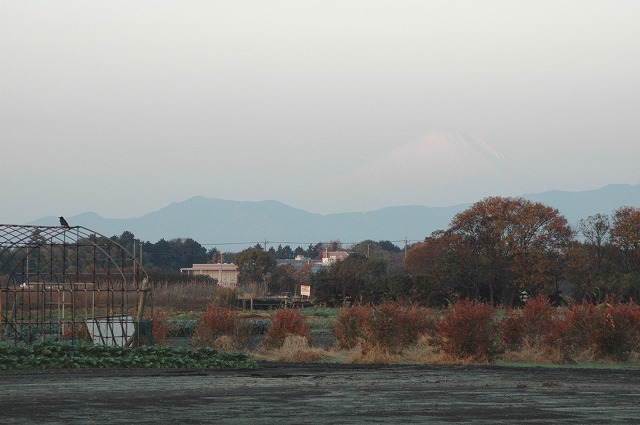 ٻΤȥ饹