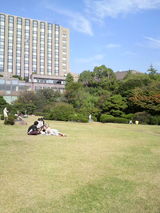 0958585c.jpg