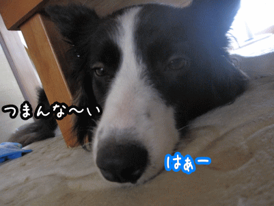 エリー