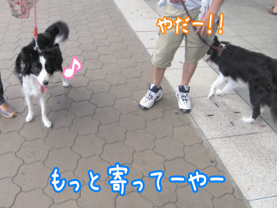 再会1