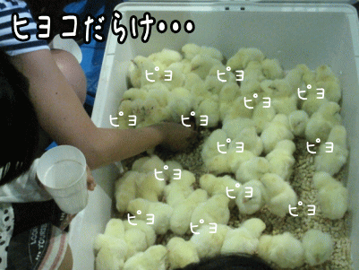 ペット2