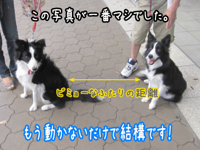 再会4