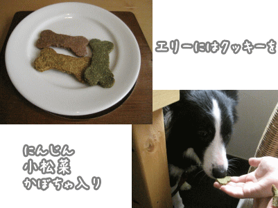 キャンプ15