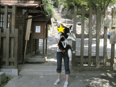 キャンプ26