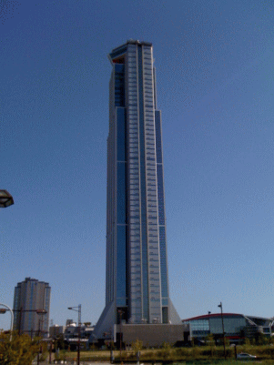 ペット8
