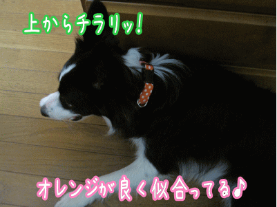 手つくり4