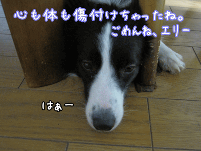 ケンカ