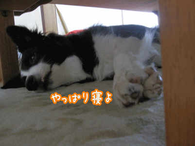 エリー3