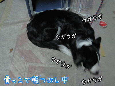 ガレージ