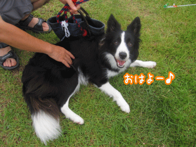 キャンプ10