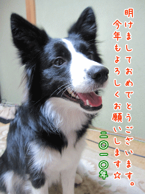 謹賀新年