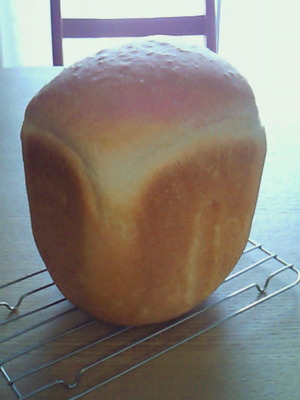 3288088e.jpg