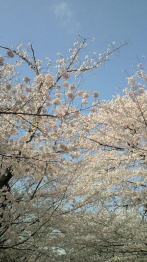 b451d0b8.jpg