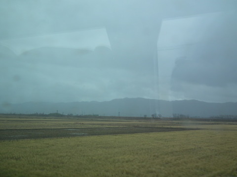 DSCF5719