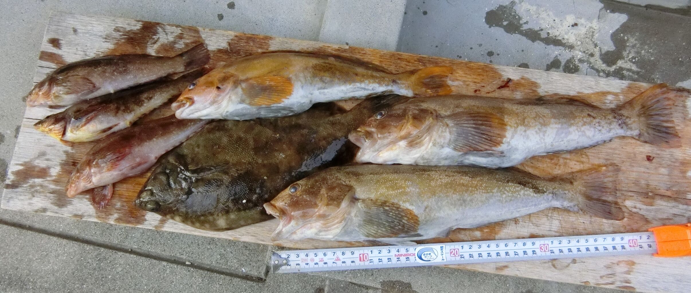 塾長先生の広島投げ釣り日記 投げ釣り