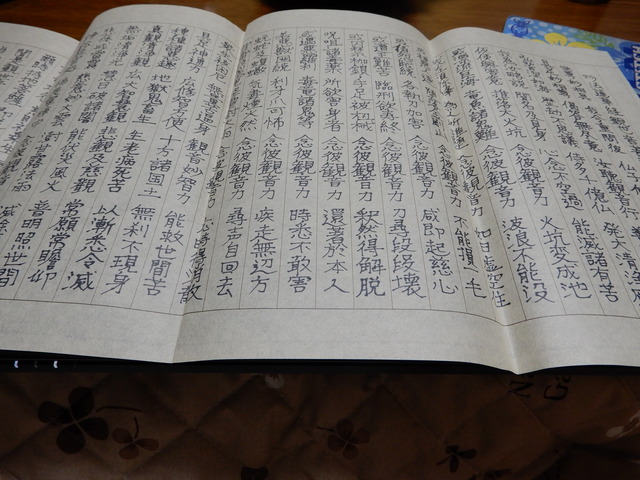 DSCN1535