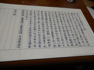 DSCN1313