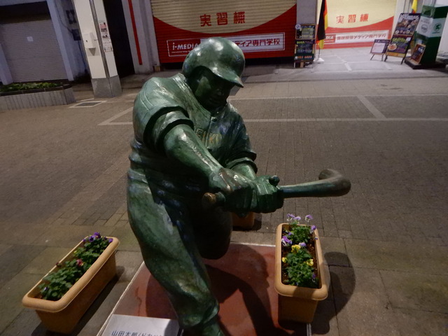 DSCN4737