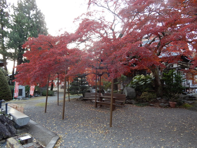 DSCN1707
