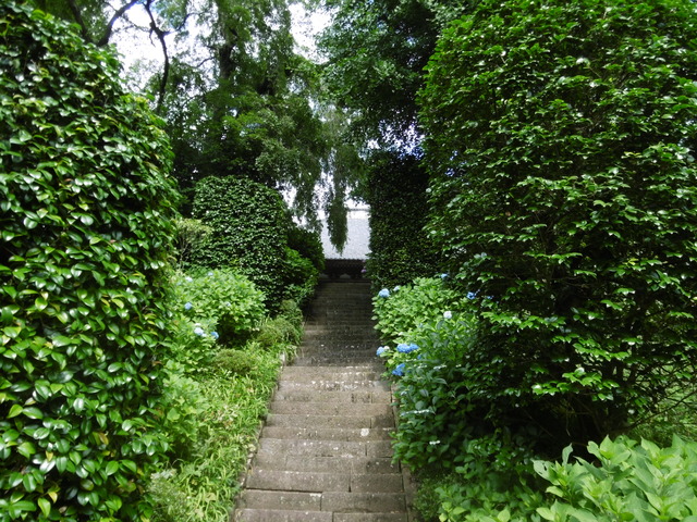 P1010142