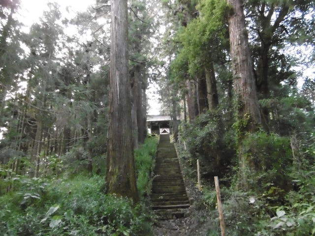 P1000016