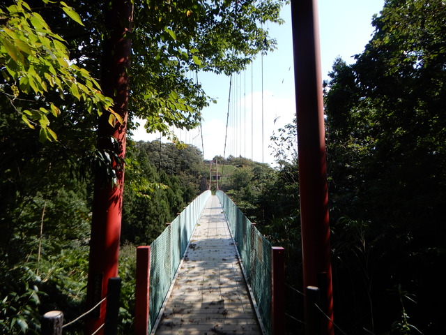 DSCN4455