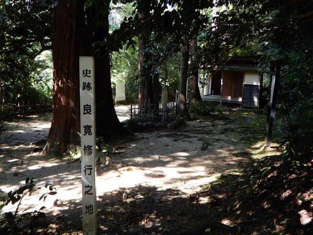 DSCN4450