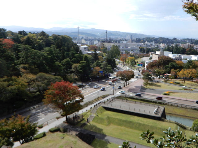 DSCN5049