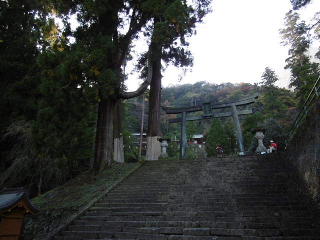 P1000014