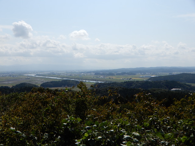 DSCN4458