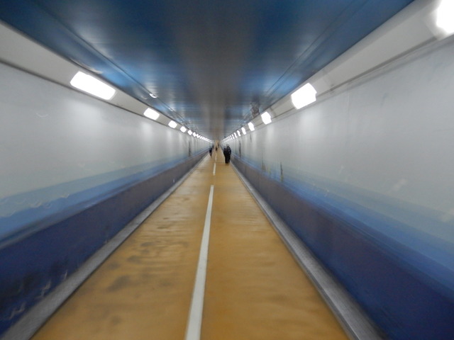 DSCN3338